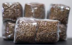 24 x one pound sterilized rye grain bags with injection ports mushroom substrate