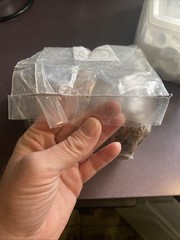 4lb All-in-One Mushroom Grow Bag Easy to Use
