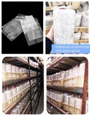 10 Count 8″x4.75″x19″ Sealable Mushroom Grow Bags Grain Substrate Mycelium USA P