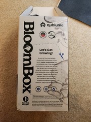 Nublume BloomBox Organic Blue Oyster Mushroom Grow Kit