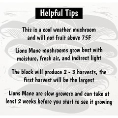 Lions Mane Mushroom grow kit – 5 pound Master’s Mix block