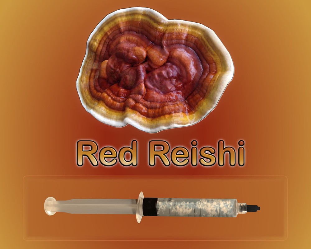 Red Reishi Liquid Culture Syringe 10ml Ganoderma lucidum Medicinal Mushroom