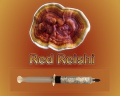 Red Reishi Liquid Culture Syringe 10ml Ganoderma lucidum Medicinal Mushroom