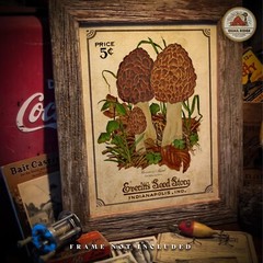 Morel Mushrooms Art Print 11×14 Mushroom Hunting Artwork Cabin Wall Decor Gift