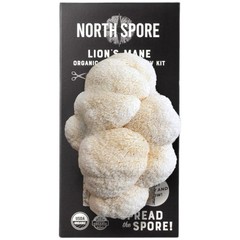 Organic Lion’s Mane Mushroom Grow Kit 4 lbs