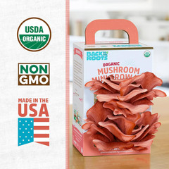 Organic Pink Miniature Mushroom Grow Kit, Harvest Gourmet Mushrooms in 10 Days