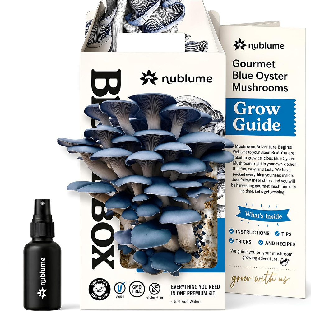 Bloombox Blue Oyster Mushroom Grow Kit – Spray & Grow – Pre-Inoculated Indoor Mu