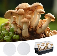 High-Efficiency 2.5in Mushroom Filter Disks – 12PCS for Optimal Gas Exchange