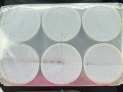 300 Micropose Adhesive Filter Discs 72x62mm Mushroom Monotub Grow Gas Exchange