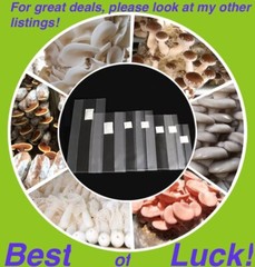 Sealable Mushroom Grow Bags Grain Substrate Mycelium Seeds W8″ x D4.7” x L19” A