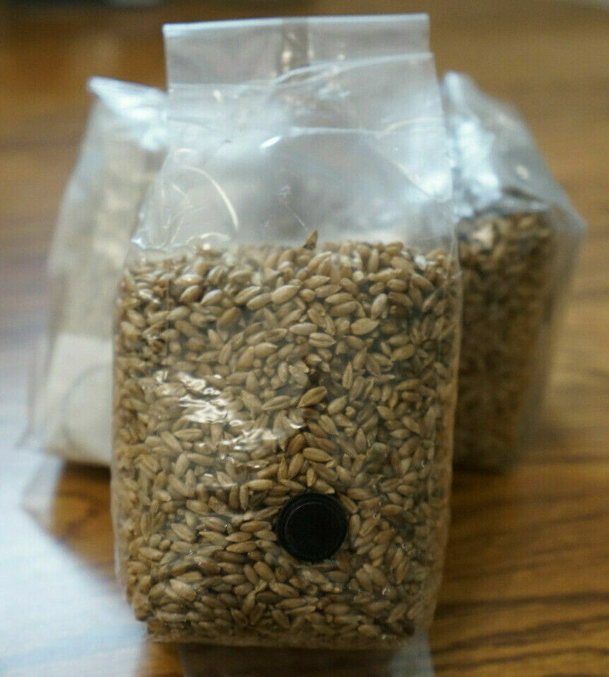Lot of 11 1.1LB Sterilized Rye Berry Spawn Mushroom Bags With Injection Port
