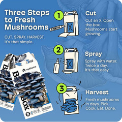 Bloombox Blue Oyster Mushroom Grow Kit – Spray & Grow – Pre-Inoculated Indoor Mu