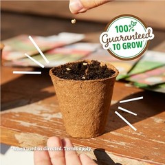 Organic Herb Seeds Variety (5-Pack) 5pk Herb Variety