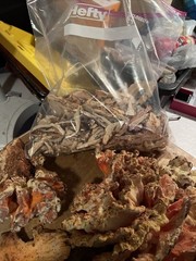 Dehydrated Chicken Of The Woods 2025 Harvest