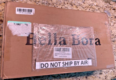 Bella Bora Still Air Box Mycology (Sturdy) by US Mycologists Upgraded V2 (Large)