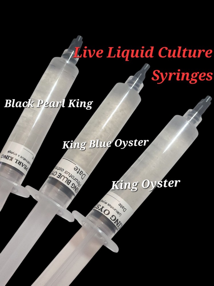 Black Pearl King, King Blue, King Oyster Mushroom Liquid Culture Syringes