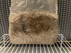5lb Sawdust/Grain Spawn Mix