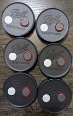 6 BALL LEAKPROOF WIDE Mouth Black Mycology lc lid w/ Self Healing Injection Port