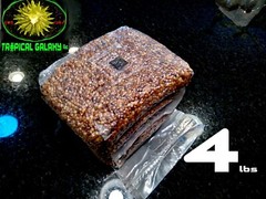 4x4lbs Sterilized Grain Bags For Mushroom Spawn