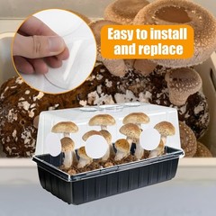 12PCS 2.5in Monotub Adhesive Filter Disks – Essential for Mushroom Cultivation