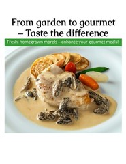 Morel Mushroom Grow Kit GROW MORELS IN YOUR BACKYARD – START THIS SUMMER!