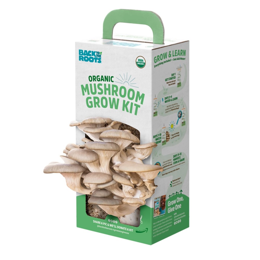 Back to the Roots Organic Oyster Mushroom Grow Kit, Harvest Gourmet Mushrooms…