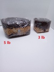 5 lb All in One Mushroom Grow Bag Sterilized GROWING BIO-BAG KIT FAST SHIP [A]