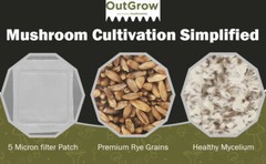 12-Pack Sterilized Rye Berry Grain Spawn – 1 lb Bags (No Injection Ports)