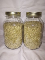 2 – Brown Rice Spawn Jars 64oz, Fast Colonizing, w/ inoculation and filter port