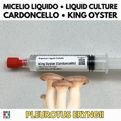Cyclocybe Aegerita Poplar G1 Tube Agar Inclined Grow Gourmet Mushroom