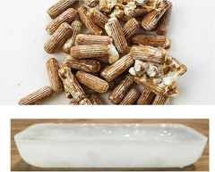 Grow Your Own Shiitake Mushrooms – 100 Plug Spawn & 3oz Wax, Easy Instructions