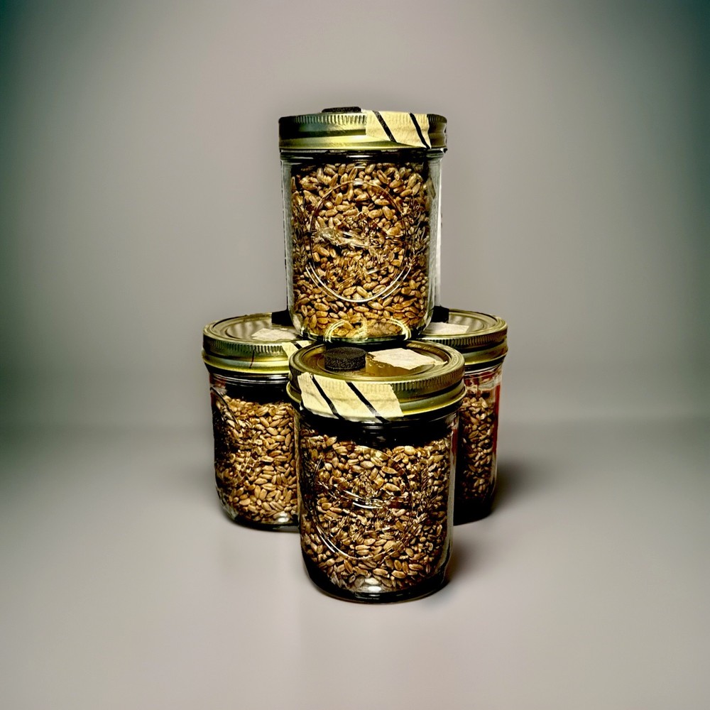 Pre-Steriled Rye Grain Jars – 16oz Quality Mason Jar W Inj Port And Filter