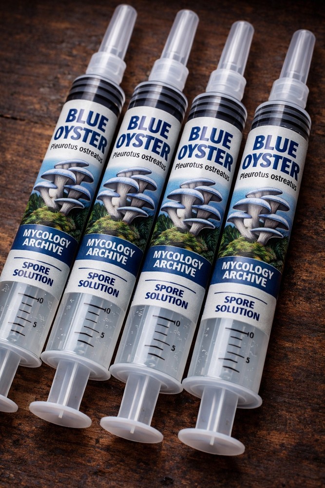 Blue Oyster Liquid Culture Syringe 10cc | Pleurotus ostreatus | Gourmet Mushroom
