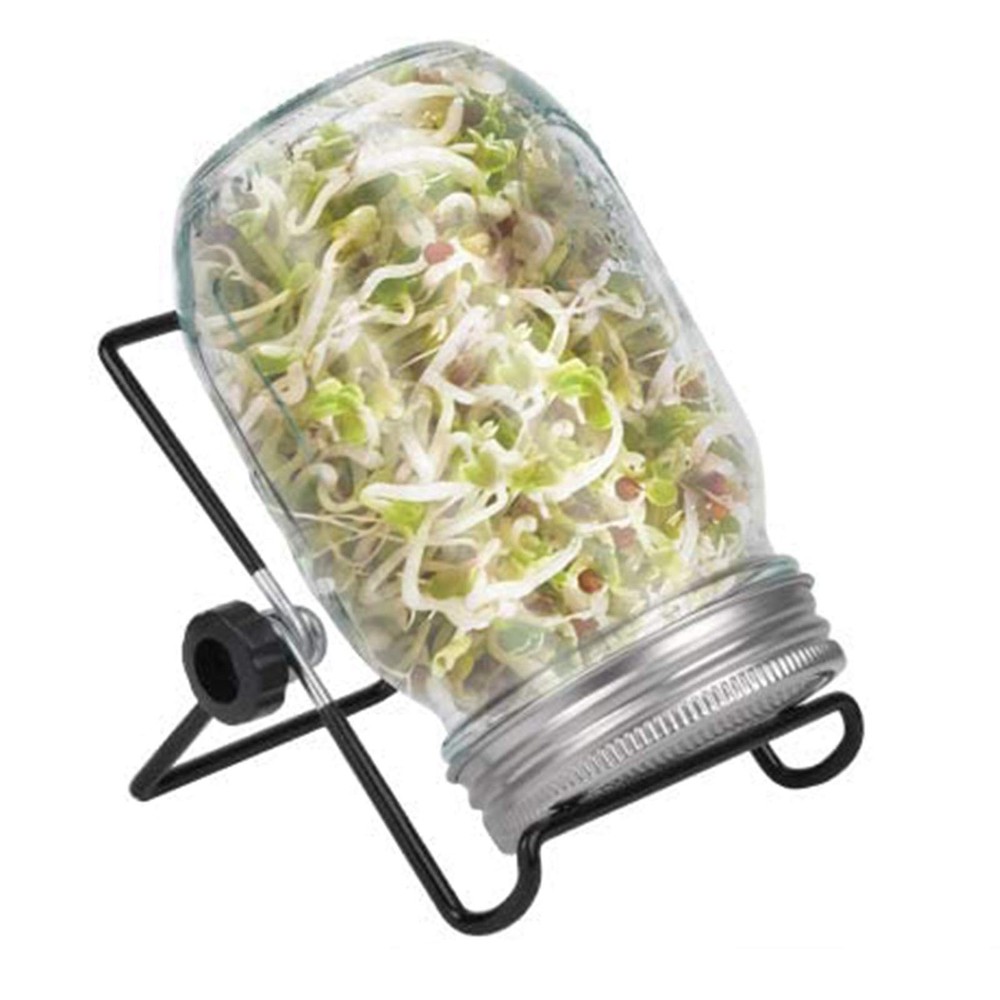 Sprouting Jar Kit Wide Mouth Quart Mason Jars with Screen Sprout Lids & Stand