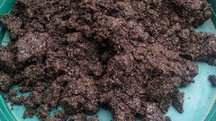 Mushroom Manure Based Substrate 18 lbs Pastureized Free Shipping