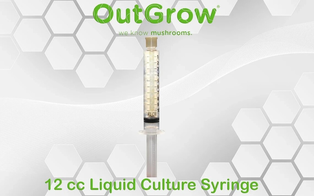 Tropical Bracket (Ganoderma tropicum) Liquid Culture