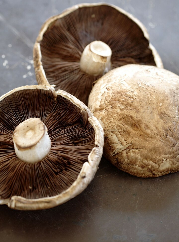 Dried Portobello Mushroom Spores organic non-GMO Fresh Dried Mushroom