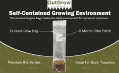 Sterilized Rye Berry Mushroom Substrate (24 One Pound Bags)