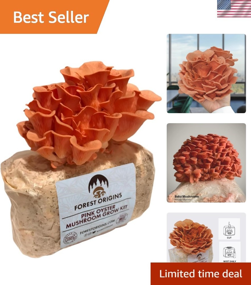 Pink Oyster Mushroom Grow Kit – Easy Beginner-Friendly Indoor Gardening