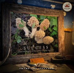 Morel Mushroom Hunting Motivational Poster Art Print Wall Artwork Decor Gift