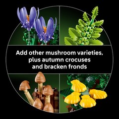LEGO Botanicals Woodland Mushrooms – Building Set for Adults, Ages Multicolor