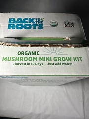 Organic Mushroom Mini Grow Kit Harvest Gourmet Pearl Oyster Complete Gardening