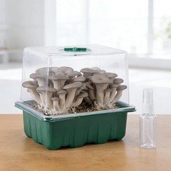 4 Pack Monotub Mushroom Grow Kit, 6.5″ x 5″ x 6.5″ Small Mushroom Fruiting Ch…