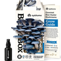 Bloombox Blue Oyster Mushroom Grow Kit – Spray & Grow – Pre-Inoculated Indoor Mu