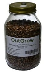 Sterilized Rye Grains for Mushroom Cultivation – Quart Jar with Injection Port