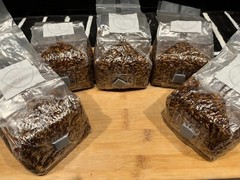 Premium 5-Pack 1lb Each Mushroom Spawn Bags | Sterilized Grain + Injection Port