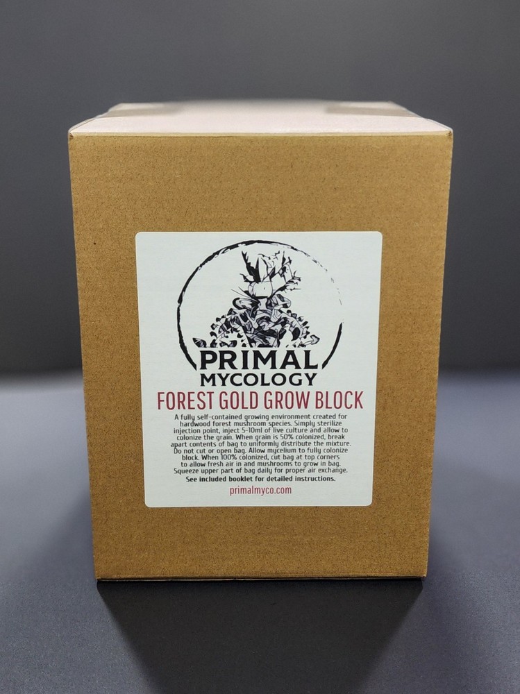 “Forest Gold” 6LB All-in-One Hardwood Grow Block: Grain Spawn & Substrate