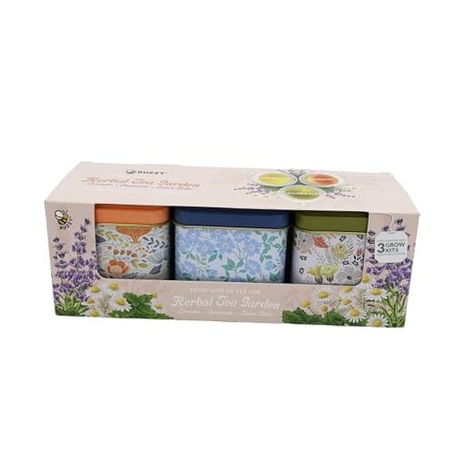 Seeds Herbal Tea Garden Grow Kit – 3 Square Tin Planters with Lavender,