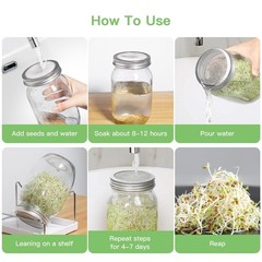 Seed Sprouting Kit – 2 Wide Mouth Jars with Stainless Steel Lids, Drip Tray & St