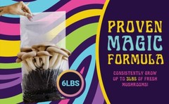 6 Pack All-in-One Mushroom Grow Kit in a Bag | MAX YIELD | 6lbs | 36 lbs total!!